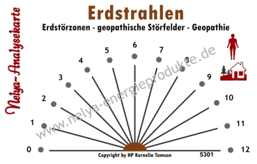 Nelya-Analysekarte - Pendelkarte - Erdstörzonen/Erdstrahlen/Geopathie #5301